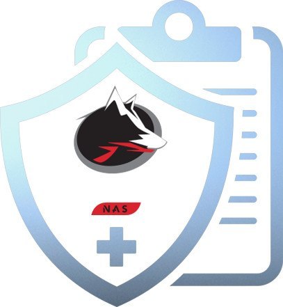 DYSK SEAGATE IronWolf ST4000VN006 4TB