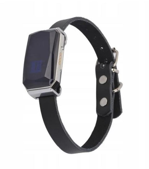 Lokalizator GPS Mking MK12P