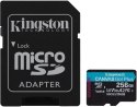 Karta pamięci microSD Kingston Canvas Go Plus microSDXC C10 UHS-I 256GB