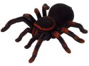 Zdalnie Sterowany Pająk Tarantula Czarny R/C