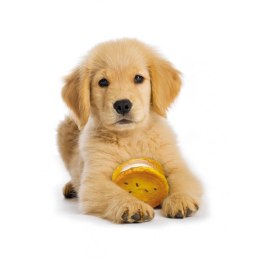 [W] Arquivet Ciasteczko winylowe dla psów - 7 cm