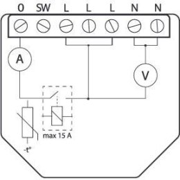 Shelly Qubino Wave 1PM