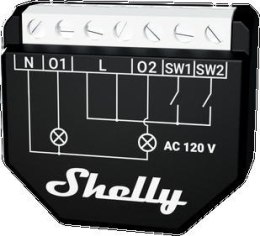 Shelly Qubino Wave 2PM