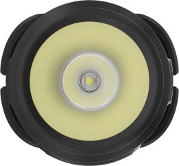 Latarka czołowa Newell Campina Multi