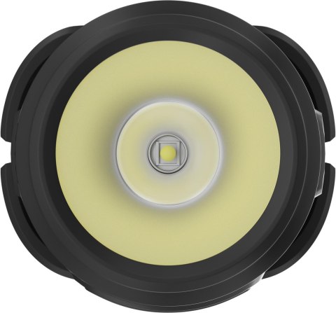 Latarka czołowa Newell Campina Multi