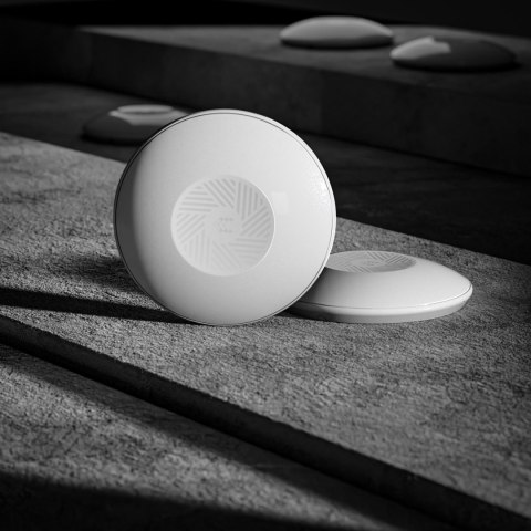 Teltonika TAP100 punkt dostępowy PoE (TAP100000000)