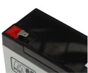 AKUMULATOR 6V/12AH-MWS MW Power