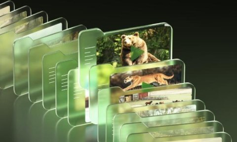 Fotopułapka Reolink Camovue 8MP LTE Talon Series S130