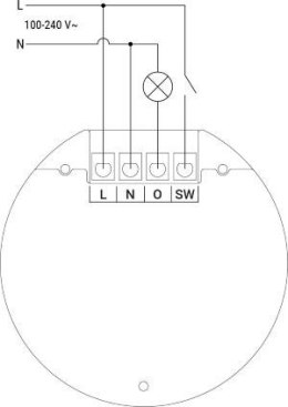 Shelly Wall Display XL Silver