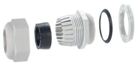 Dławnica kablowa z gwintem PG-7 jasnoszary (1szt.)