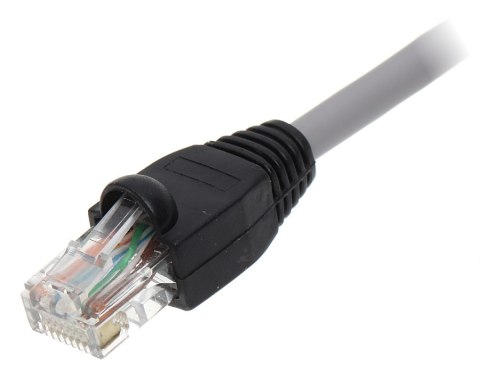 OSŁONA WTYKU RJ-45 RJ45/WP-C*P100