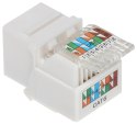 ZŁĄCZE KEYSTONE FX-RJ45-61*P100