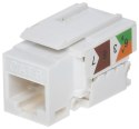 ZŁĄCZE KEYSTONE FX-RJ45-62*P100