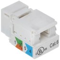 ZŁĄCZE KEYSTONE FX-RJ45-62*P100