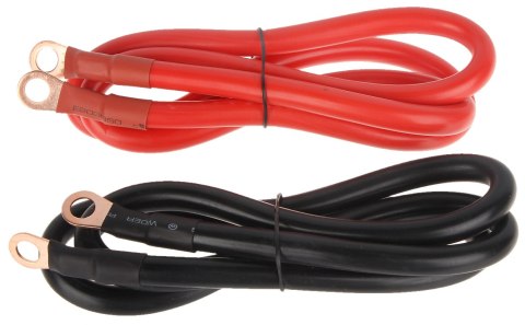 MODUŁ PRZETWORNICY SINUS-2000/24