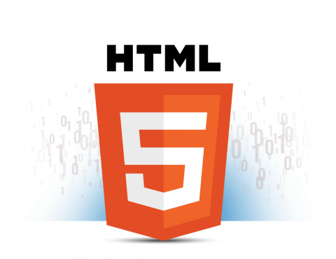 Kamera IP wandaloodporna NVIP-5VE-4231