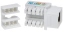 ZŁĄCZE KEYSTONE FX-RJ45-54*P100