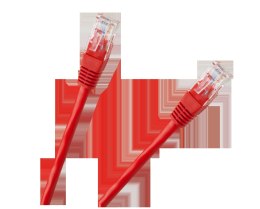 Patchcord kabel UTP 8c wtyk-wtyk 0,5m CCA czerwony