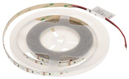 TAŚMA LED LED120-12V/9.6W-CW/5M - 16000 K MW Lighting