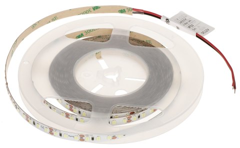 TAŚMA LED LED120-12V/9.6W-CW/5M - 16000 K MW Lighting